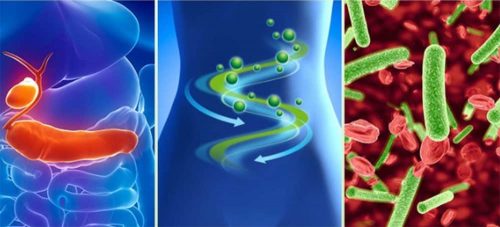 Viên uống lợi sữa, cân bằng đường huyết GNC Fenugreek 610mg 100 Capsules 14 vien uong loi sua can bang duong huyet gnc fenugreek 610mg 100 capsules kd