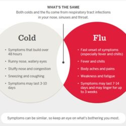 Viên uống Tylenol Cold & Flu Severe Day 48 Caplets & Night 24 Caplets (72 Caplets) 11 vien uong tylenol cold flu severe day 48 caplets night 24 caplets kb