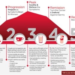 Viên uống Tylenol Cold & Flu Severe Day 48 Caplets & Night 24 Caplets (72 Caplets) 12 vien uong tylenol cold flu severe day 48 caplets night 24 caplets kc