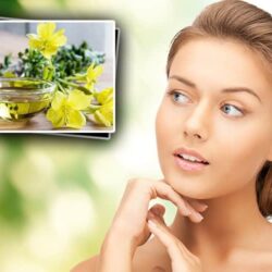 Tinh dầu hoa anh thảo Healthy Care Evening Primrose Oil 1000mg 200 Capsules 12 women beauty benefits of evening primrose oil