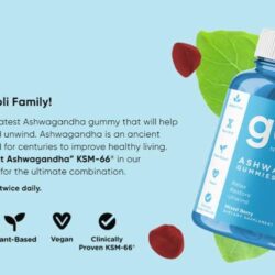 Kẹo dẻo nhân sâm Ấn Độ Goli Ashwagandha 60 Gummies 14 keo deo nhan sam an do goli ashwagandha 60 gummies kd