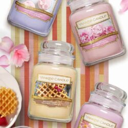 nen thom yankee candle sugared blossom 340g kd