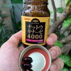 vien uong phong chong dot quy orihiro nattokinase 4000fu 60 vien ka