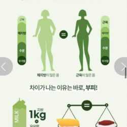 Viên uống trà xanh giảm cân đốt mỡ VB Body Fat Control 90 viên 15 vien uong tra xanh giam can dot mo vb body fat control 90 vien kg