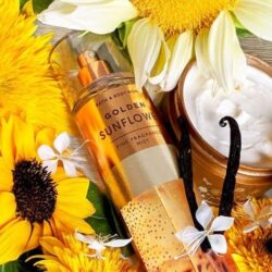 Xịt thơm Bath & Body Works Golden Sunflower Fine Fragrance Mist 236ml 8 xit thom bath body works golden sunflower fine fragrance mist 236ml kb