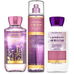 Xịt thơm Bath & Body Works Lavender In Bloom Fine Fragrance Mist 236ml 7 xit thom bath body works lavender in bloom fine fragrance mist 236ml kb