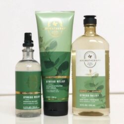 Kem dưỡng thể Bath & Body Works Aromatherapy Stress Relief Moisturizing Cream Lotion 226g 13 kem duong the bath body works aromatherapy stress relief moisturizing cream lotion 226g 31023 kf