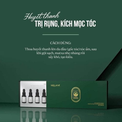 Serum mọc tóc Weilaiya With Ginger Polygonum 5ml x 8 lọ 33 serum moc toc weilaiya with ginger polygonum 5ml x 8 lo kf