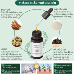 Serum mọc tóc Weilaiya With Ginger Polygonum 5ml x 8 lọ 18 serum moc toc weilaiya with ginger polygonum 5ml x 8 lo krc