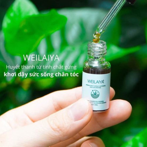 Serum mọc tóc Weilaiya With Ginger Polygonum 5ml x 8 lọ 35 serum moc toc weilaiya with ginger polygonum 5ml x 8 lo kre