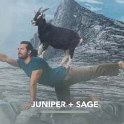 sua tam nam method men juniper sage 532ml kc