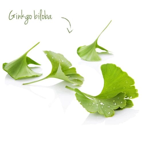 vien uong bo nao tang cuong tri nho arkopharma arkogelules bio ginkgo 150 vien kb