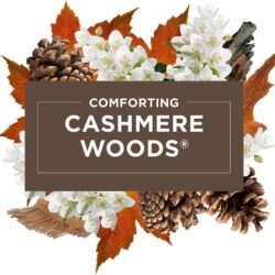 Bộ tinh dầu thơm cắm điện Glade Cashmere Woods & Clean Linen Scented Oil 1 Warmer + 9 Refills 9 bo tinh dau thom cam dien glade cashmere woods clean linen scented oil 1 warmer 9 refills kd