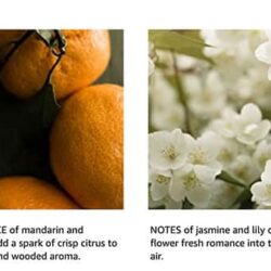 Bộ tinh dầu thơm cắm điện Glade Cashmere Woods & Clean Linen Scented Oil 1 Warmer + 9 Refills 15 bo tinh dau thom cam dien glade cashmere woods clean linen scented oil 1 warmer 9 refills kg