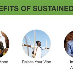 Bột điện giải Liquid I.V. Energy Multiplier 24 gói (Lemon Ginger) 17 bot dien giai liquid i v hydration multiplier 24 goi lemon ginger kh