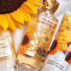 sua tam bath body works shower gel golden sunflower 295ml kc