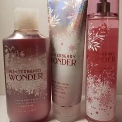 Sữa tắm Bath & Body Works Shower Gel Winterberry Wonder Aloe Vitamin E 295ml 10 sua tam bath body works shower gel winterberry wonder 295ml kb