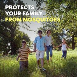 Xịt chống muỗi và côn trùng OFF! Deep Woods Dry set 3 chai (453g) + 8 khăn giấy 18 xit chong muoi va con trung off family care smooth dry insect repellent set 3 chai 170g 1 chai 71g kf