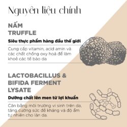 kem duong phuc hoi te bao da ban dem lanci night repair probio cream 50ml ke