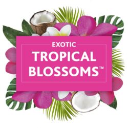 Tinh dầu cho máy xịt thơm phòng tự động Glade Exotic Tropical Blossoms 175g x2 7 tinh dau cho may xit thom phong tu dong glade exotic tropical blossoms 175g x2 kb
