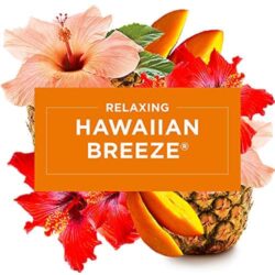 Tinh dầu cho máy xịt thơm phòng tự động Glade Hawaiian Breeze 175g x2 10 tinh dau cho may xit thom phong tu dong glade hawaiian breeze 175g x2 ke