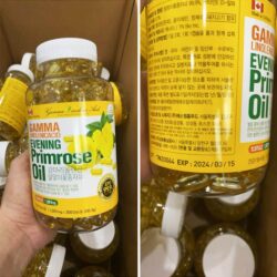 Tinh dầu hoa anh thảo Gamma Linolenic Acid Evening Primrose Oil 1001mg 300 viên 6 tinh dau hoa anh thao gamma linolenic acid evening primrose oil 1001mg 300 vien ka