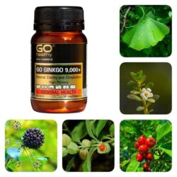Viên uống bổ não Go Healthy Go Ginkgo 9000+ 30 viên 10 vien uong bo nao go healthy go ginkgo 9000 30 vien ka