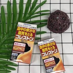 vien uong giam mo mau va cholesterol hisamitsu nhat 84 vien kd