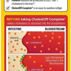 vien uong giam cholesterol nature made cholest off plus 450mg 100 vien ka