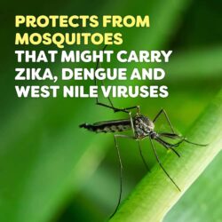 Xịt chống muỗi và côn trùng OFF! Deep Woods Dry set 3 chai (453g) + 8 khăn giấy 17 xit chong muoi va con trung off deep woods dry set 3 chai 453g 8 khan giay ke