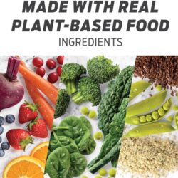 bot protein vega one all in one shake vi chocolate 876g kc