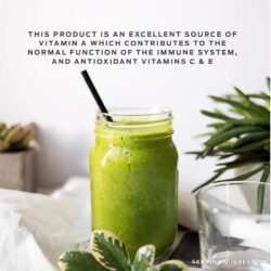 bot protein vega one all in one shake vi chocolate 876g kd