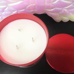 Nến thơm 3 tim Bath & Body Works Bubbly Rose 411g 10 nen thom 3 tim bath body works bubbly rose 411g kd