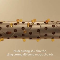 bo dau goi xa phuc hoi da tang nam truffle weilaiya white truffle 450ml x2 kb