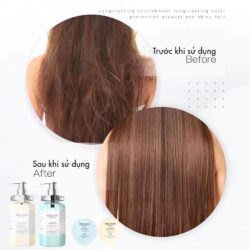 bo dau goi xa phuc hoi da tang nam truffle weilaiya white truffle 450ml x2 kc