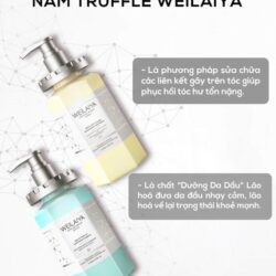 bo dau goi xa phuc hoi da tang nam truffle weilaiya white truffle 450ml x2 kf