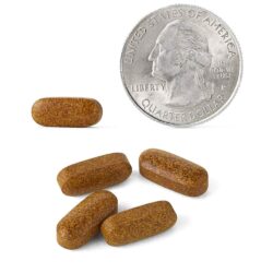 Viên uống chống viêm, thoái hóa khớp Schiff Move Free Ultra Turmeric Tamarind 30 viên 11 vien uong chong viem thoai hoa khop schiff move free ultra turmeric tamarind 30 vien ke