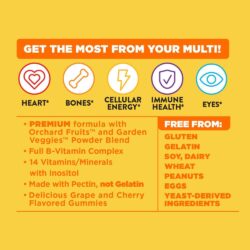 Kẹo dẻo bổ sung Vitamin cho người lớn Alive Adult Premium Gummies Multivitamin 90 viên 13 keo deo bo sung vitamin cho nguoi lon alive adult premium gummies multivitamin 90 vien kg