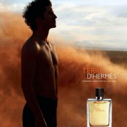 nuoc hoa hermes terre dhermes edp 75ml ke