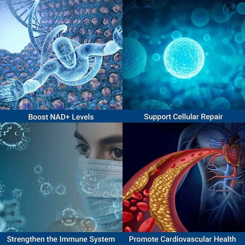 vien uong bo sung nmn coq10 advanced nmn max coq10 750mg 60 capsules ke