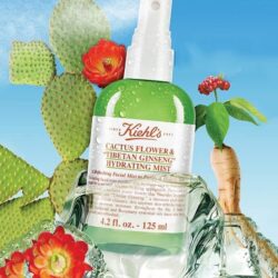 Xịt khoáng Kiehl’s Cactus Flower Tibetan Ginseng Hydrating Mist 125ml 6 xit khoang kiehls cactus flower tibetan ginseng hydrating mist 125ml ka
