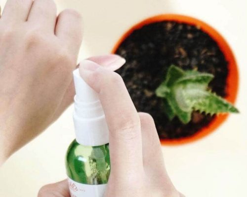 Xịt khoáng Kiehl’s Cactus Flower Tibetan Ginseng Hydrating Mist 75ml 15 xit khoang kiehls cactus flower tibetan ginseng hydrating mist 125ml ke