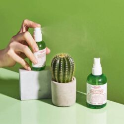 Xịt khoáng Kiehl’s Cactus Flower Tibetan Ginseng Hydrating Mist 75ml 8 xit khoang kiehls cactus flower tibetan ginseng hydrating mist 75ml kd