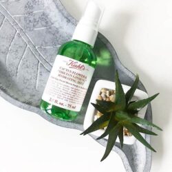 Xịt khoáng Kiehl’s Cactus Flower Tibetan Ginseng Hydrating Mist 75ml 11 xit khoang kiehls cactus flower tibetan ginseng hydrating mist 75ml ke