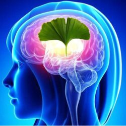 Hoạt huyết dưỡng não Blackmores Ginkgo Brahmi 80 viên 9 brain ginkgo