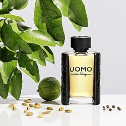 nuoc hoa nam salvatore ferragamo uomo edt 100ml kb