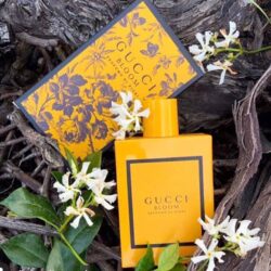 Nước hoa nữ Gucci Bloom Profumo Di Fiori EDP 100ml 6 nuoc hoa nu gucci bloom profumo di fiori edp 100ml kb