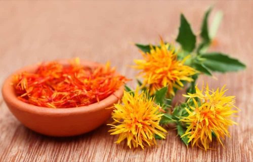 safflower seeds oil