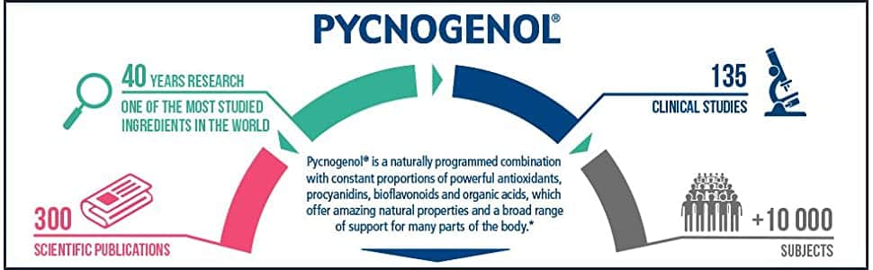 Viên uống bổ sung Pycnogenol Healthy Origins Pycnogenol 150mg 120 Capsules 6 vien uong bo sung pycnogenol healthy origins pycnogenol 100mg 60 capsules kg