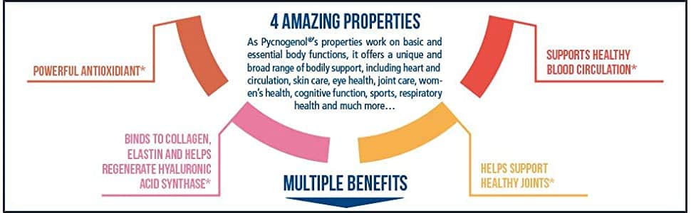 Viên uống bổ sung Pycnogenol Healthy Origins Pycnogenol 150mg 120 Capsules 7 vien uong bo sung pycnogenol healthy origins pycnogenol 100mg 60 capsules kh